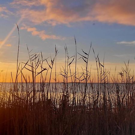 Meze Avec Vue Face A L'Etang Villa Eksteriør bilde