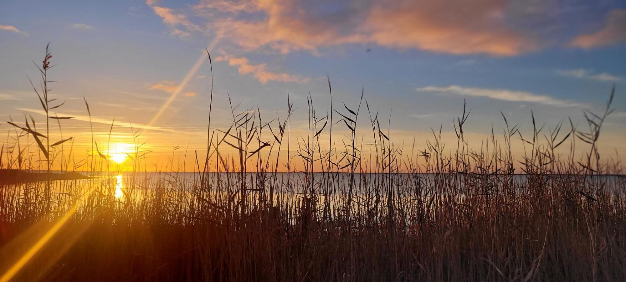 Meze Avec Vue Face A L'Etang Villa Eksteriør bilde